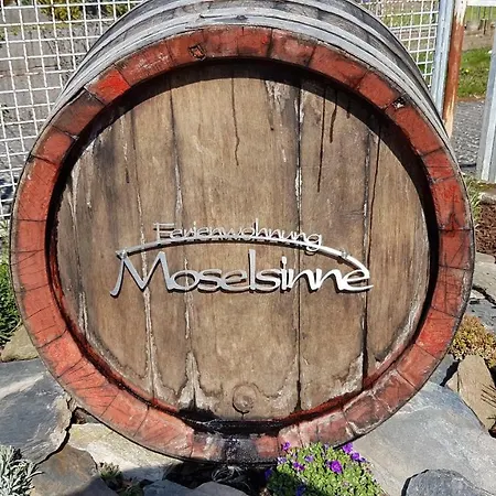 Ferienwohnung Moselsinne 1 Zell an der Mosel
