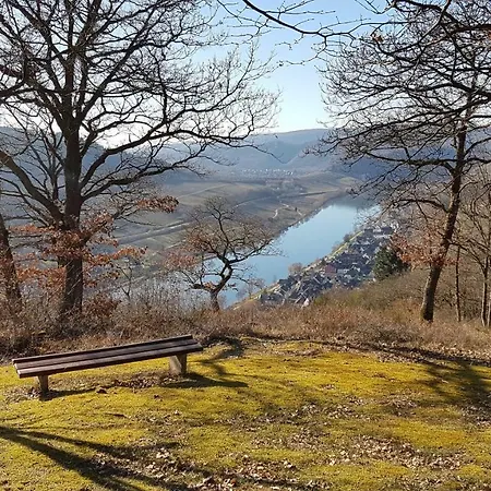 Ferienwohnung Moselsinne 1 * Zell an der Mosel